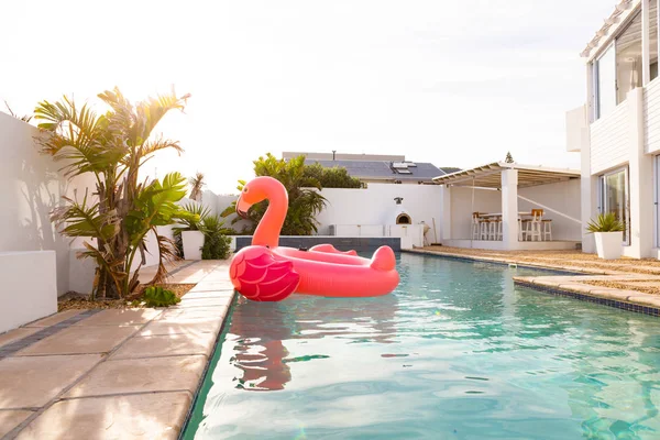 ピンクフラミンゴ鳥の形インフレータブルチューブ浮動でAスイミングプールで裏庭に自宅 — ストック写真