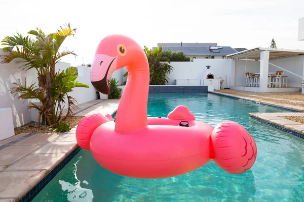 Flamingo Rosa Forma Pájaro Tubo Inflable Flotando Una Piscina Patio — Foto de Stock