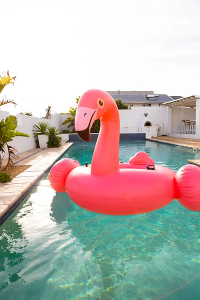 粉红火烈鸟形状的充气管子漂浮在自家后院的游泳池里 — 图库照片