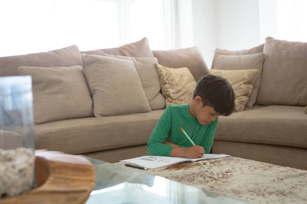 Vista Frontale Carino Ragazzo Razza Mista Che Studia Soggiorno Casa — Foto Stock