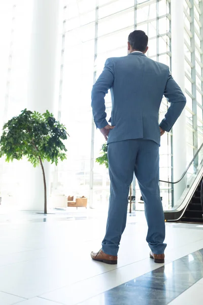 現代のオフィスに立つ思慮深い成熟した白人ビジネスマンの背面図 — ストック写真
