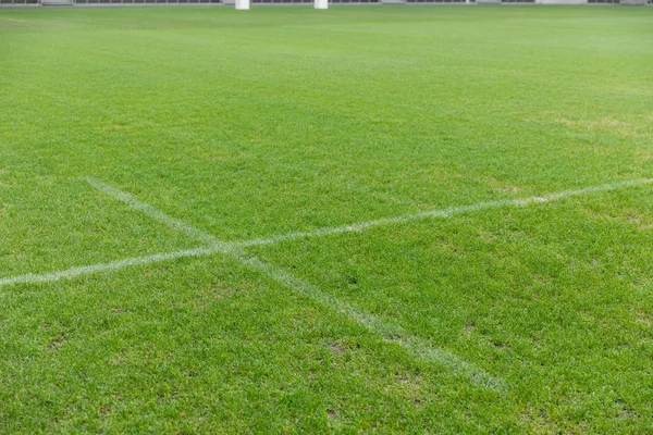 Gros Plan Ligne Blanche Sur Une Herbe Dans Stade Rugby — Photo