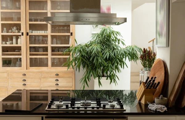 Современный Кухонный Интерьер Рабочей Поверхностью Дома — стоковое фото