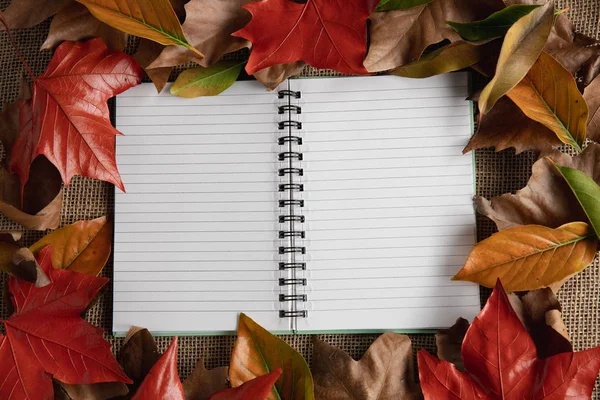 Autumn Flat Lay Notepad Copy Space — Stock Photo, Image