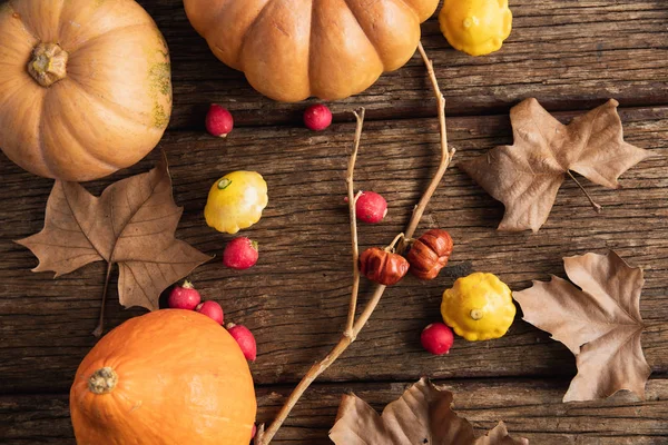 木製のテーブルの上にカボチャと秋のフラットレイ — ストック写真