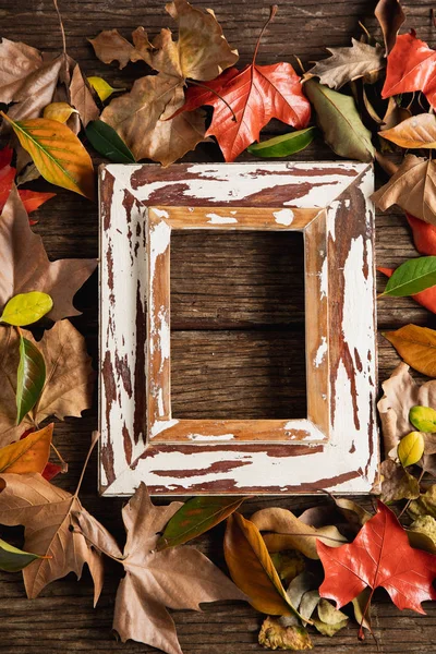Φθινοπωρινό Επίπεδο Κορνίζα Ξύλινο Τραπέζι — Φωτογραφία Αρχείου