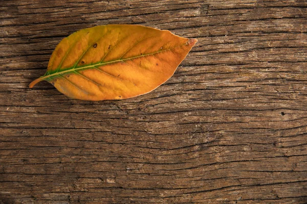 Otoño Plano Con Hoja Espacio Copia —  Fotos de Stock