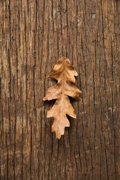 Herbstflach Lag Mit Blatt Und Kopierraum — Stockfoto