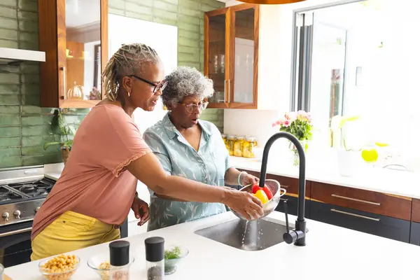 Senior African American Woman Senior Biracial Woman Wash Dishes Together — Stock Photo, Image
