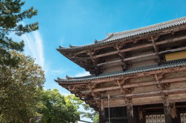 Nara, Japonya, bir Budist tapınakları mavi gökyüzü karşı