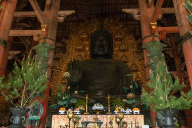 Büyük Buda veya Daibutsu, Buda'nın Vairocana dünyanın en büyük bronz heykeli. Todai-ji bir Budist Tapınağı: Nara, Japan.
