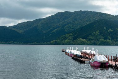 Hakone, Japonya. Göl ortaklaşa bir güzel küçük göl, Turizm Japonya için bir favori olduğunu.