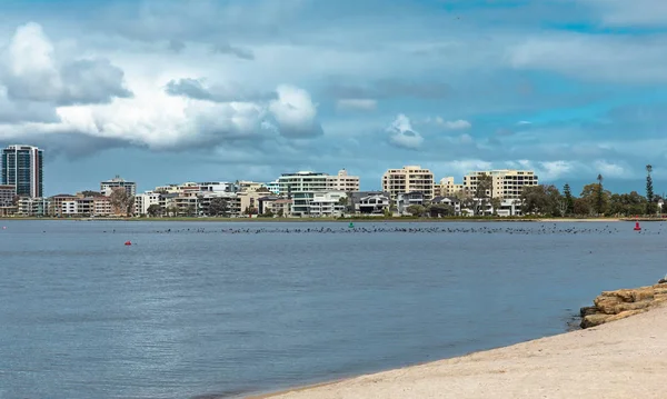 Shoreline Swan River Perth Western Australia Perth City Skyline Its — Stock Photo, Image