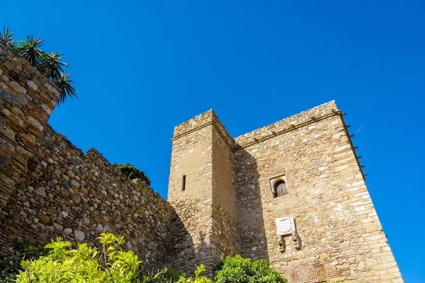 Vue extérieure de Malaga Gibralfaro Murs avec belle fleur — Photo