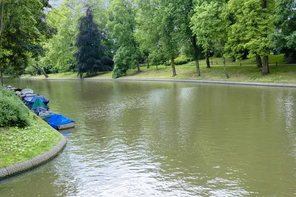 Utrecht'in merkezindeki şehir parkında bir gölet. Utrecht başkent — Stok fotoğraf