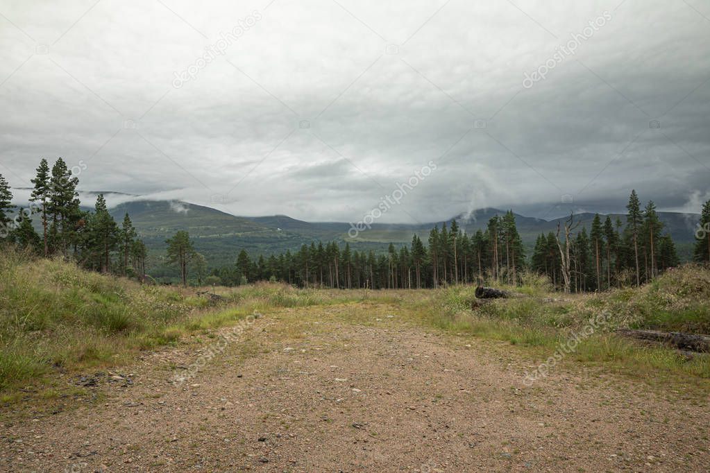 The Cairngorm mountain forest after rain in Scotland