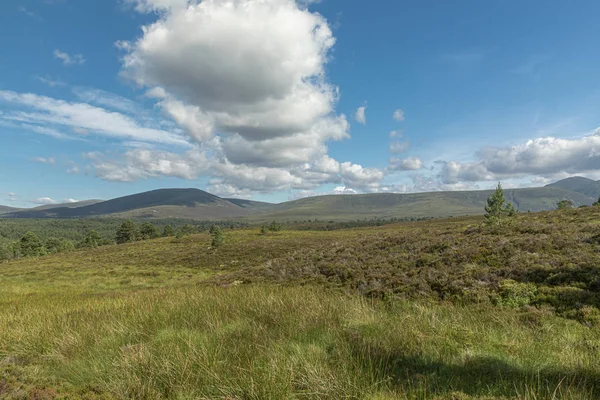 Malowniczy słoneczny widok w szkockich Highlands, Cairngorms Nationa — Zdjęcie stockowe