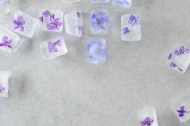 Gri arka planda buz küplerinde dondurulmuş yenilebilir yaz çiçekleri. Çiçekli buz arka planı. Düz, yatay.