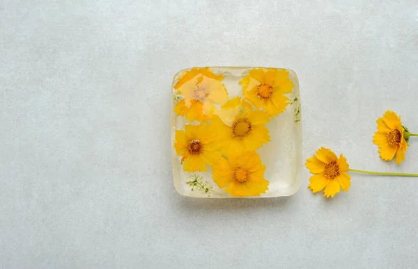 Frozen  flowers  inside the  ice cube on the gray background.Image with yellow  flowers. Horizontal with space for text.