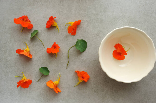 Colorful  flowers in the  bowl on the gray background. Bright nasturtium edible flowers with leaf.Selective focus.Horizontal.