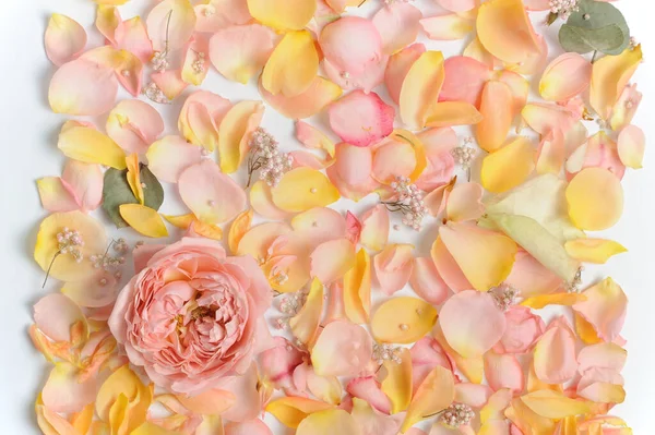 Çiçekler ve çiçek yaprakları farklı renkte pembe, sarı, beyaz. Bahar ya da yaz başlıkları için yumuşak stil. Banner arkaplanı .