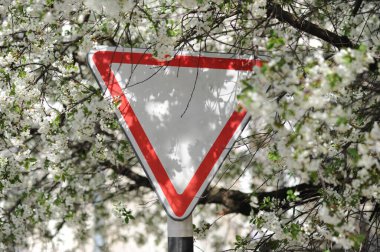 Yol verin. Sokakta trafik işareti var. Bahar çiçeklerinin arka planında eski üçgen trafik işareti. Doğal ışık ile görüntü. Seçici odak.