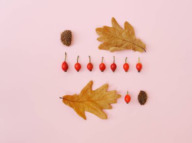 Kuru meşe yaprakları ve kırmızı gül kalçalı yaratıcı kompozisyon. Sonbahar, sonbahar, Şükran Günü konsepti. Metin için yeri olan düz bir yer. Yatay yönelim.