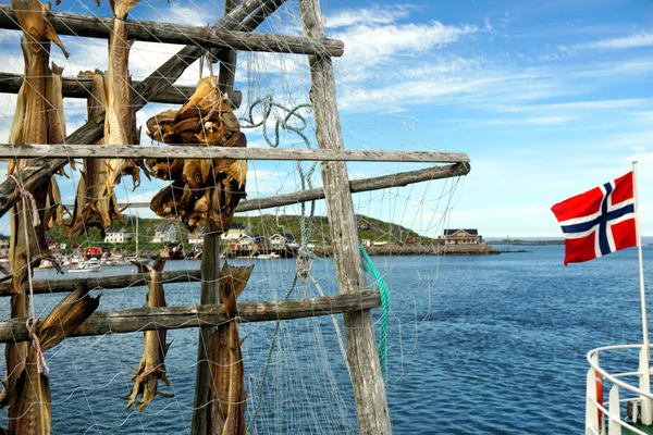 ノルウェーの伝統的な干し魚 — ストック写真