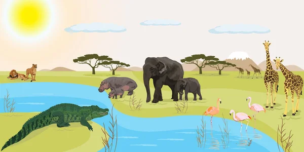 Illustration vectorielle de paysage africain — Image vectorielle