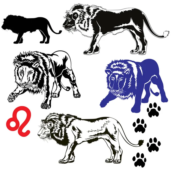 Conjunto de leones — Archivo Imágenes Vectoriales