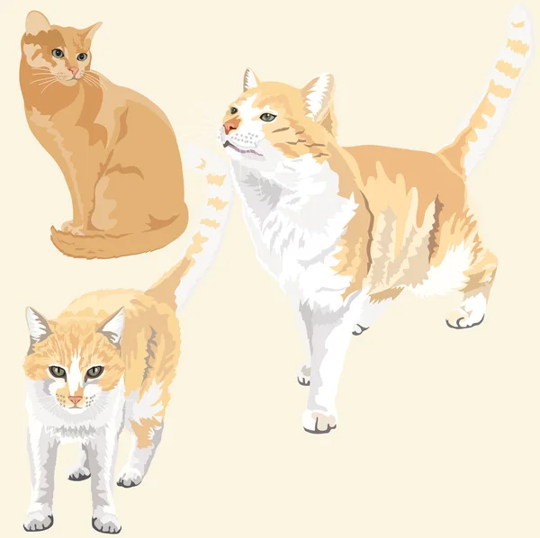 Lindo y divertido jengibre gatos — Archivo Imágenes Vectoriales