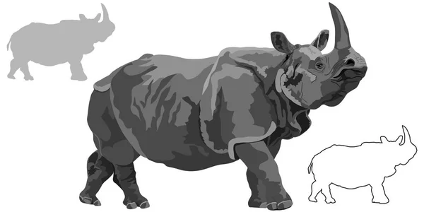 Rhinocéros indien sur blanc — Image vectorielle