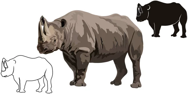Svart rhinocerosblack afrikansk noshörning — Stock vektor