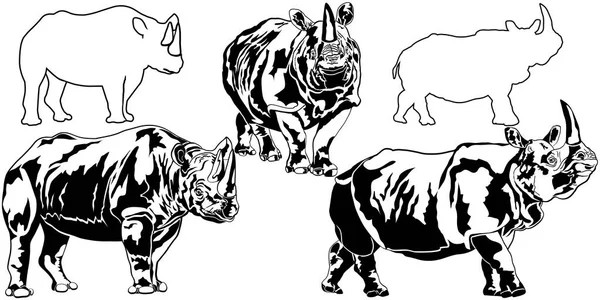 Set of vector rhinoceros — Stock Vector