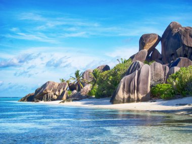 Beyaz kumlu ve palmiye ağaçlı tropikal güzel sahil, La Digue Adası, Seyşeller
