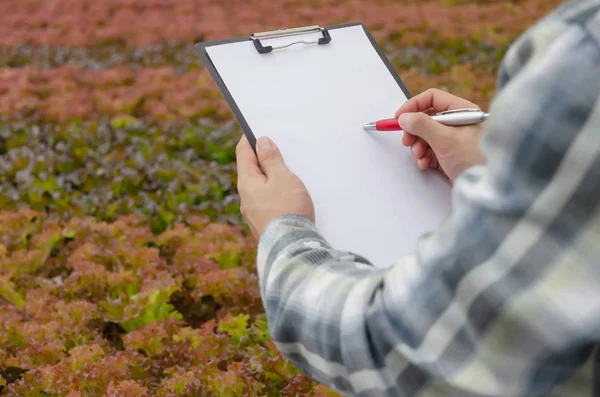 young man farmer hands writing on paper and clipboard with organic hydroponic fresh vegetables produce in greenhouse garden nursery farm, smart farming technology and agricultural innovation concept