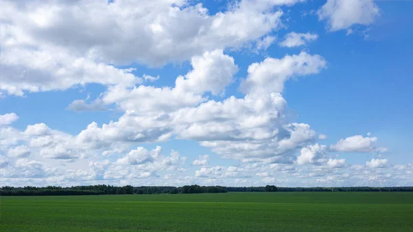 Bulutlarla dolu gökyüzüne karşı yeşil çayır, güneşli bir gün.