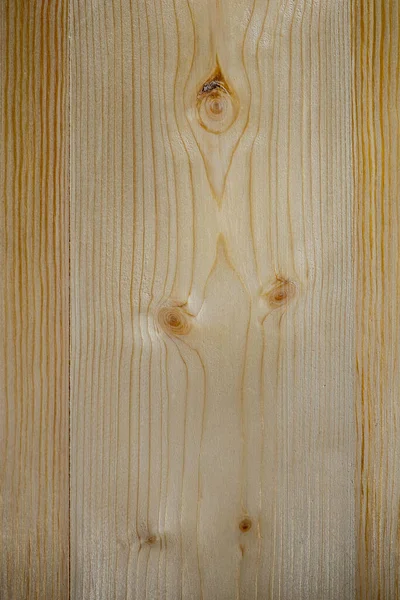 Texture of wooden plank with bitches, drawing of a coniferous parod tree — Stock Photo, Image
