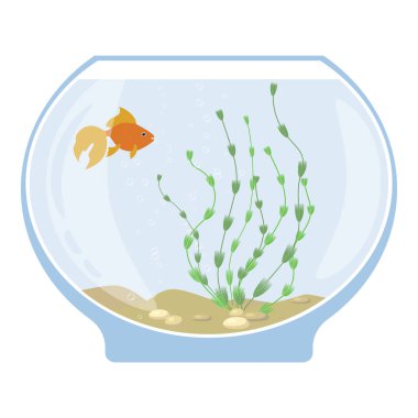 Akvaryum su altı öğeleri, balıklar, yosun ve beyaz arka plan üzerinde izole taşlar ile.