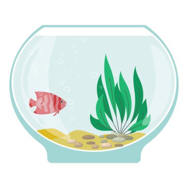 Akvaryum su altı öğeleri, balıklar, yosun ve beyaz arka plan üzerinde izole taşlar ile.