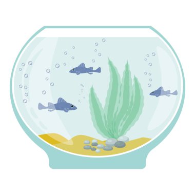 Akvaryum su altı öğeleri, balıklar, yosun ve beyaz arka plan üzerinde izole taşlar ile.