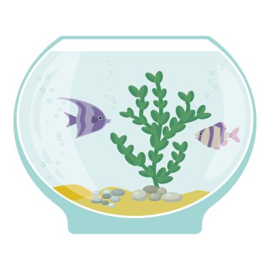 Akvaryum su altı öğeleri, balıklar, yosun ve beyaz arka plan üzerinde izole taşlar ile.