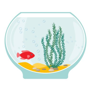 Akvaryum su altı öğeleri, balıklar, yosun ve beyaz arka plan üzerinde izole taşlar ile.