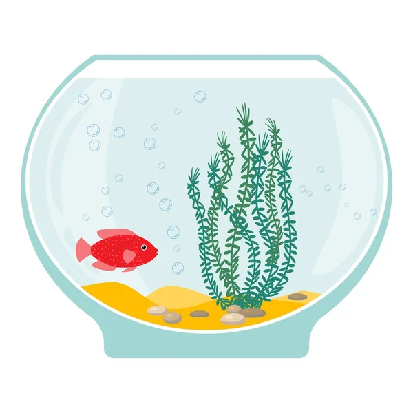 Akvaryum su altı öğeleri, balıklar, yosun ve beyaz arka plan üzerinde izole taşlar ile.