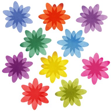 Modern suluboya renkli resimde beyaz zemin üzerinde. Dekorasyon öğesi. Çiçek illüstrasyon. Grafik tasarım öğesi.