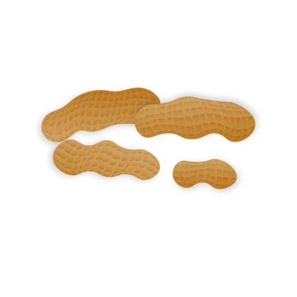 Vektor-Erdnüsse in realistischem Stil auf weißem Hintergrund für Template-Etikett, Verpackung Snack und Emblem Bauernmarkt-Design. — Stockvektor