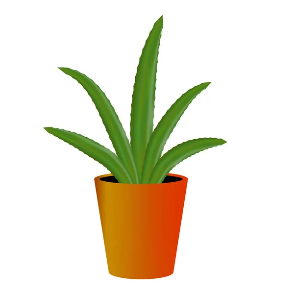 Aloe vera verde em estilo moderno sobre fundo branco. Natureza ilustração vetorial. Decoração botânica . — Vetor de Stock