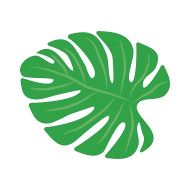 Trendy palmiye, beyaz arka plan üzerinde herhangi bir amaç için büyük tasarım. Çiçek illüstrasyon. Egzotik orman ağacı. Vektör çiçek tasarım kartı. Botanik çizim. Doğal arka plan. Vektör çizim şablonu.