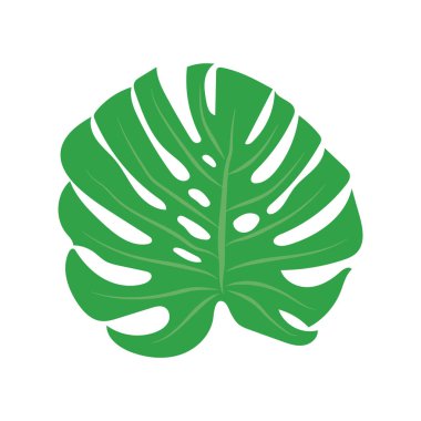 Trendy palmiye, beyaz arka plan üzerinde herhangi bir amaç için büyük tasarım. Çiçek illüstrasyon. Egzotik orman ağacı. Vektör çiçek tasarım kartı. Botanik çizim. Doğal arka plan. Vektör çizim şablonu.