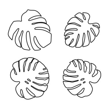Monstera seti beyaz arka plan üzerinde güzel bir tarzda bırakır. Element dekoratif çiçek. Tropikal dekorasyon bitki yaprak siluet. İzole vektör tasarımı. Botanik çizim. Beyaz arka plan.